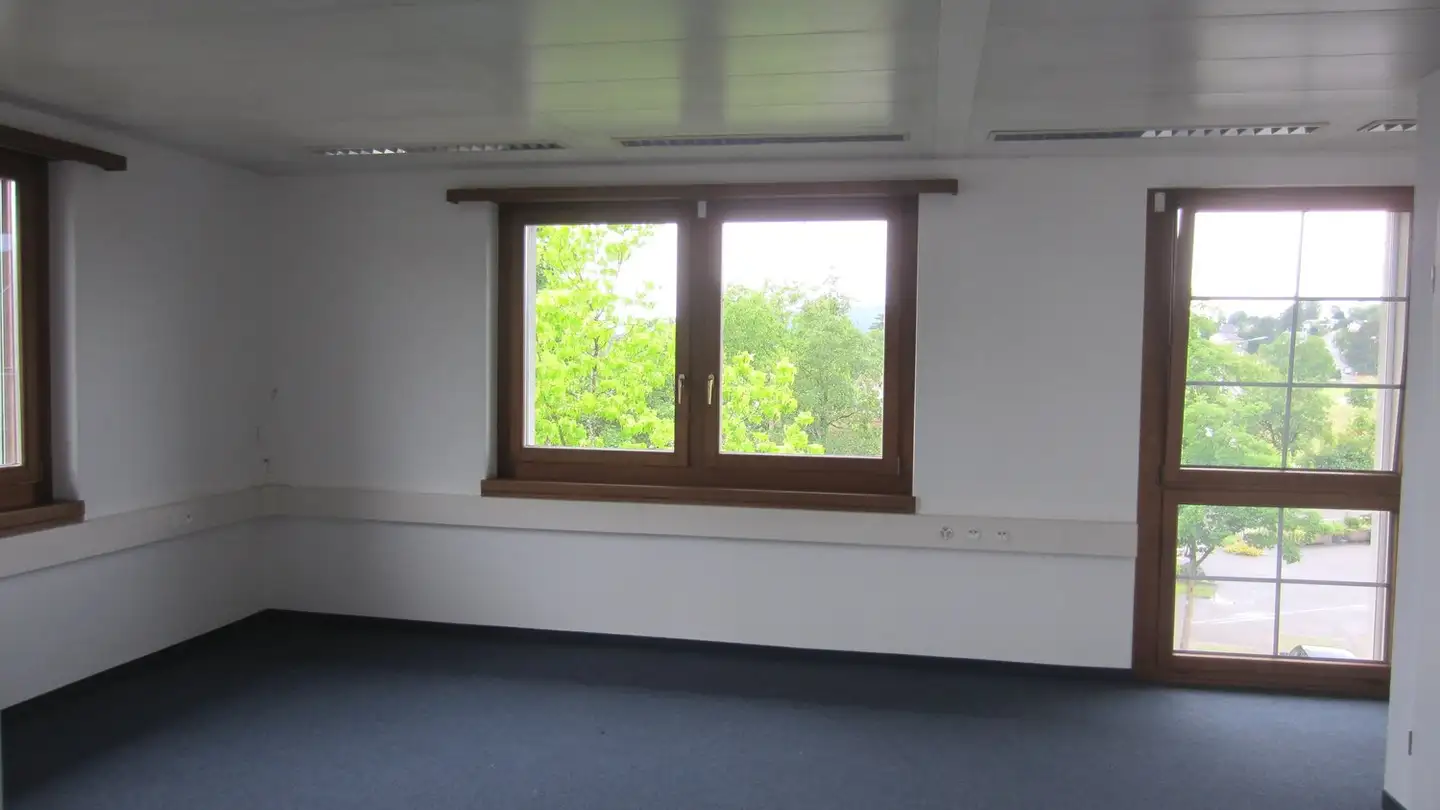 Office space for rent - Niederhaslistrasse 4, 8105 Watt - Photo 2