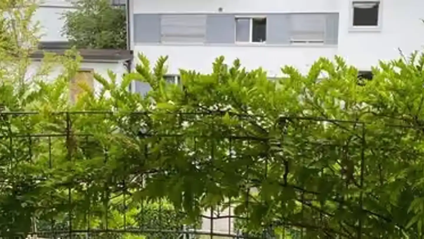 Appartamento in affitto - Schubertweg 4, 3073 Gümligen - Foto 2