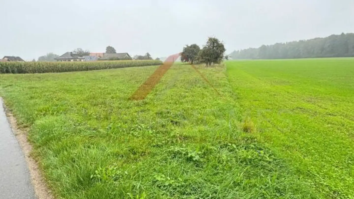 Terreno edificabile in vendita - 3376 Graben - Photo 3