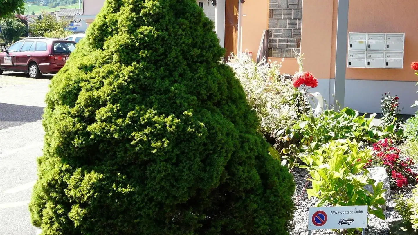 Studio à louer - Hauptstrasse 91, 5037 Muhen - Photo 2