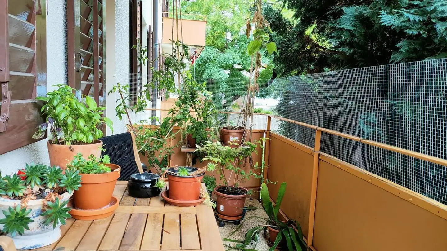 Apartment for rent - 8200 Schaffhausen - Photo 2