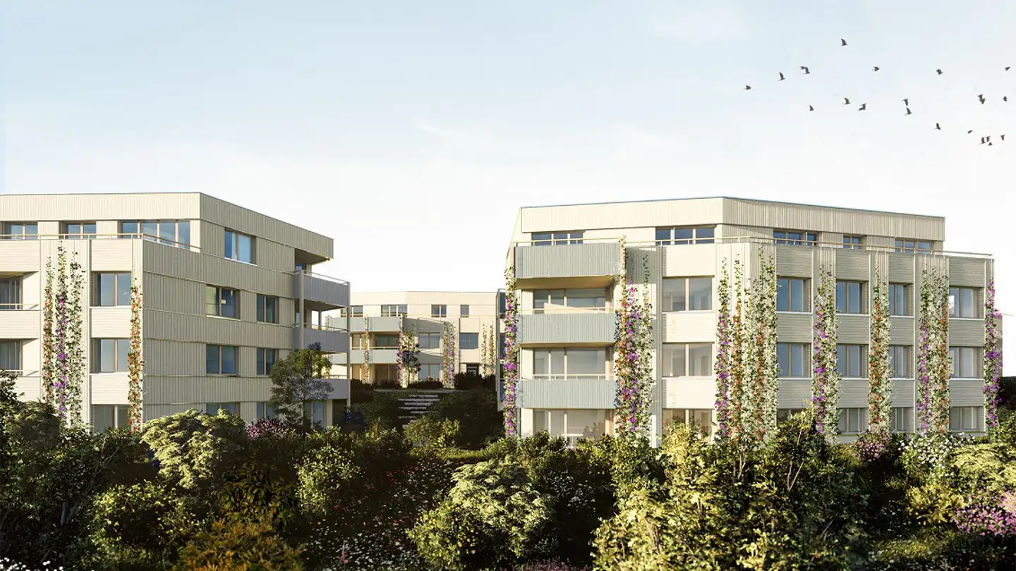 Apartment for sale - Amriswilerstrasse 50b, 9314 Steinebrunn - Photo 3