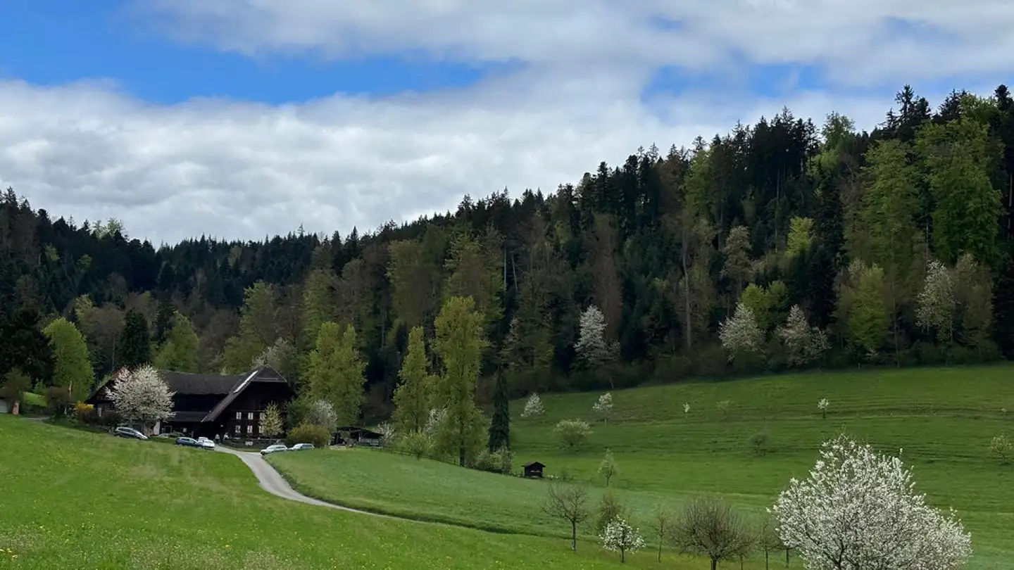 Casa singola in affitto - Altental 7b, 6262 Langnau b. Reiden - Foto 2