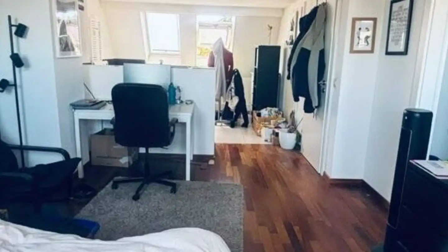 Chambre à louer - 8055 Zürich - Photo 4