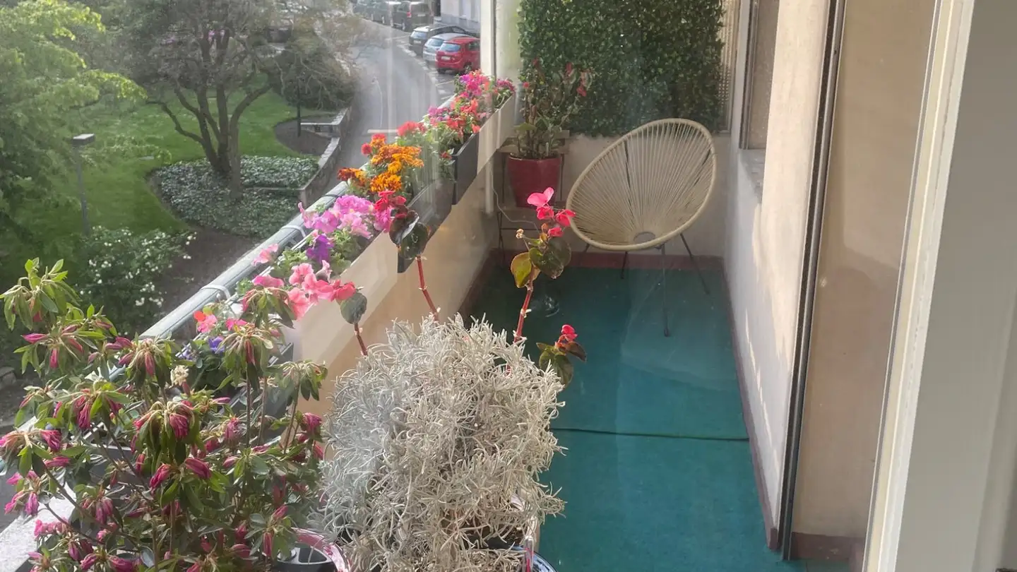 Wohnung mieten - Parc Du Château-Banquet 20, 1202 Genève - Foto 2