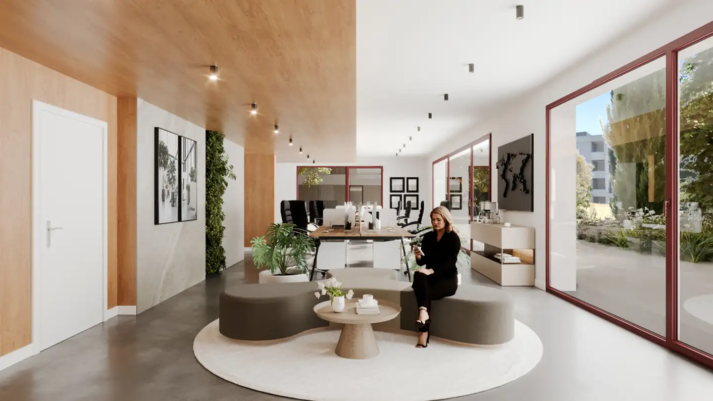 Commerciale in affitto - Chemin Falconnier, 1260 Nyon - Foto 4