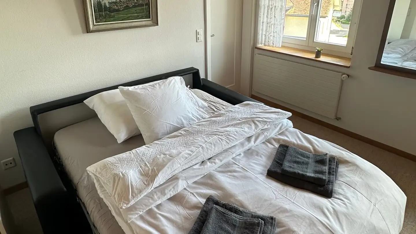 Furnished apartment for rent - 8212 Neuhausen am Rheinfall - Photo 2