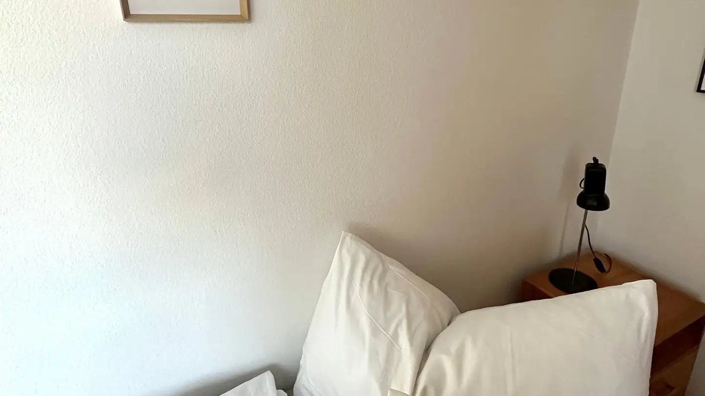 Furnished apartment for rent - 8212 Neuhausen am Rheinfall - Photo 3