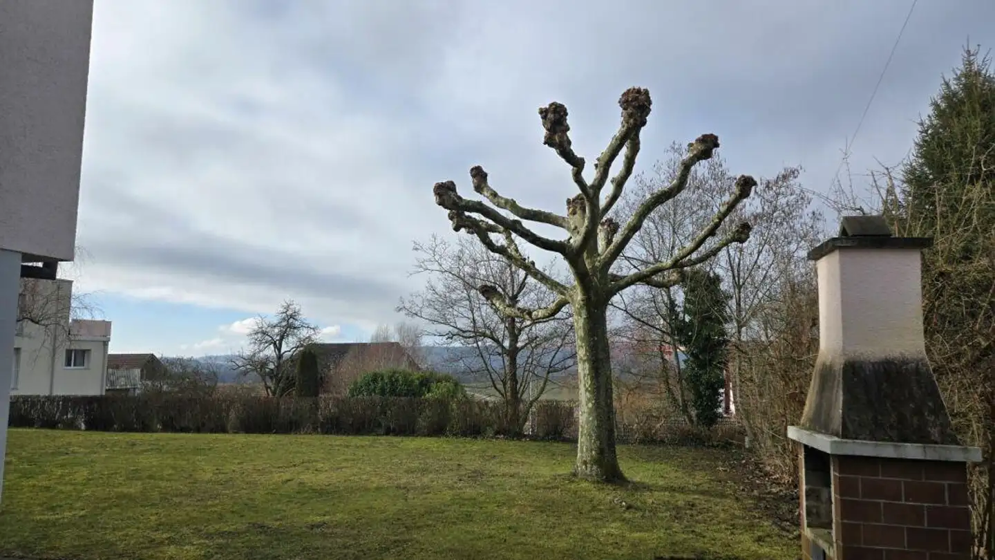 Casa singola in affitto - Gärtlistrasse 12, 8239 Dörflingen - Foto 3