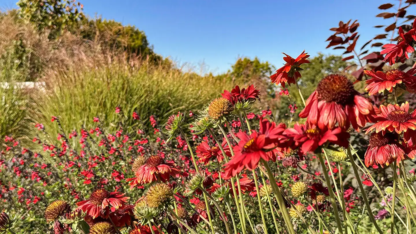 Villa à vendre - 1083 Mézières VD - Photo 3