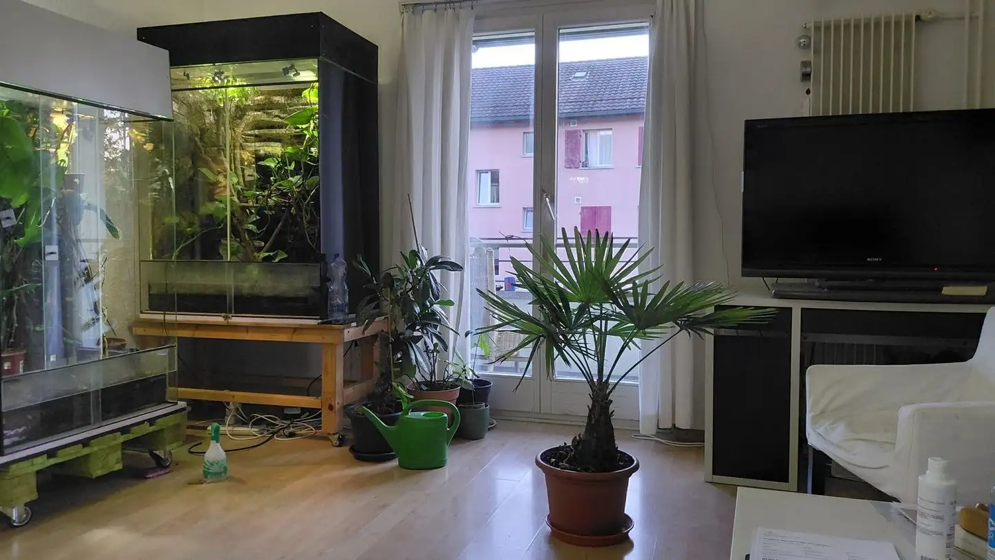 Appartement à louer - Tiefenaustrasse 137, 3004 Bern