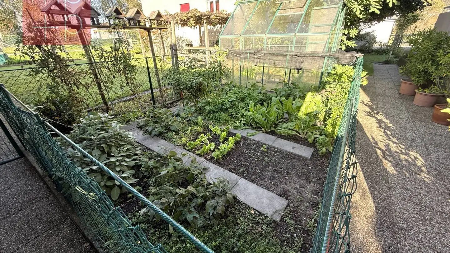 Single house for sale - 6512 Giubiasco - Photo 3