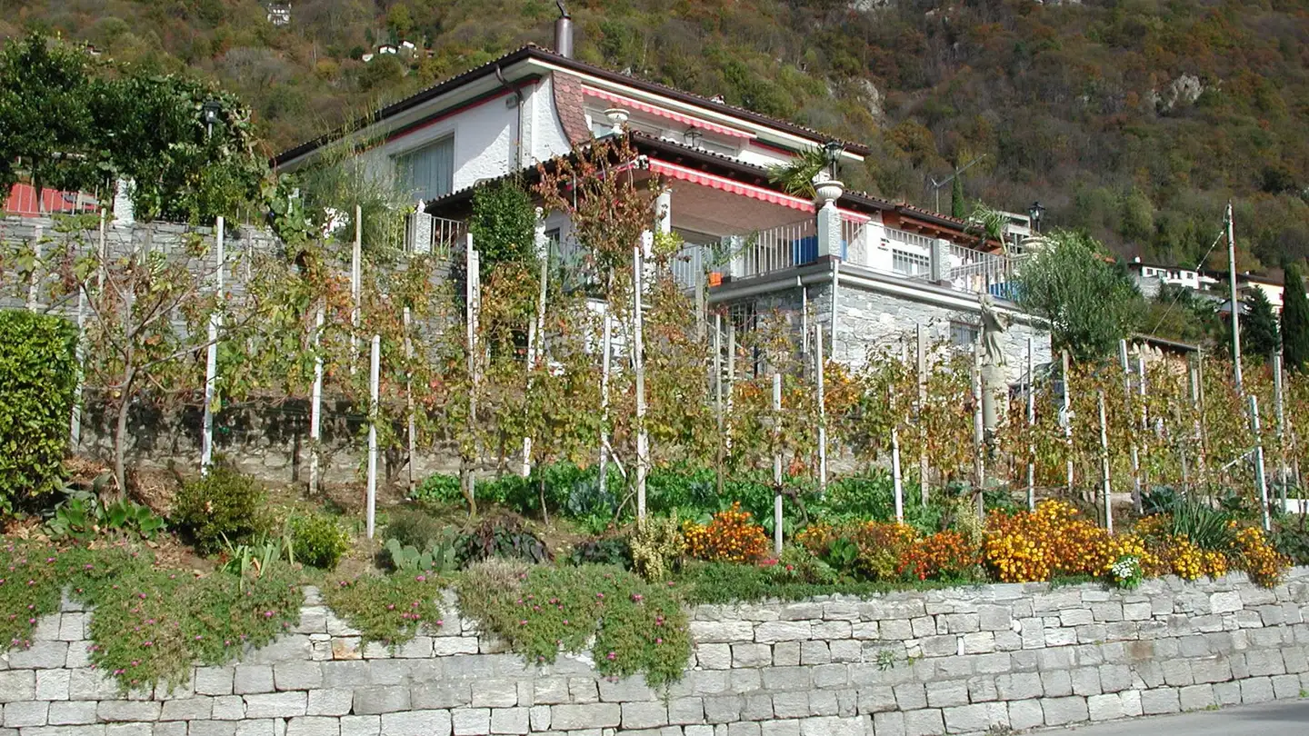 Wohnung mieten - Via Collina 5, 6516 Cugnasco