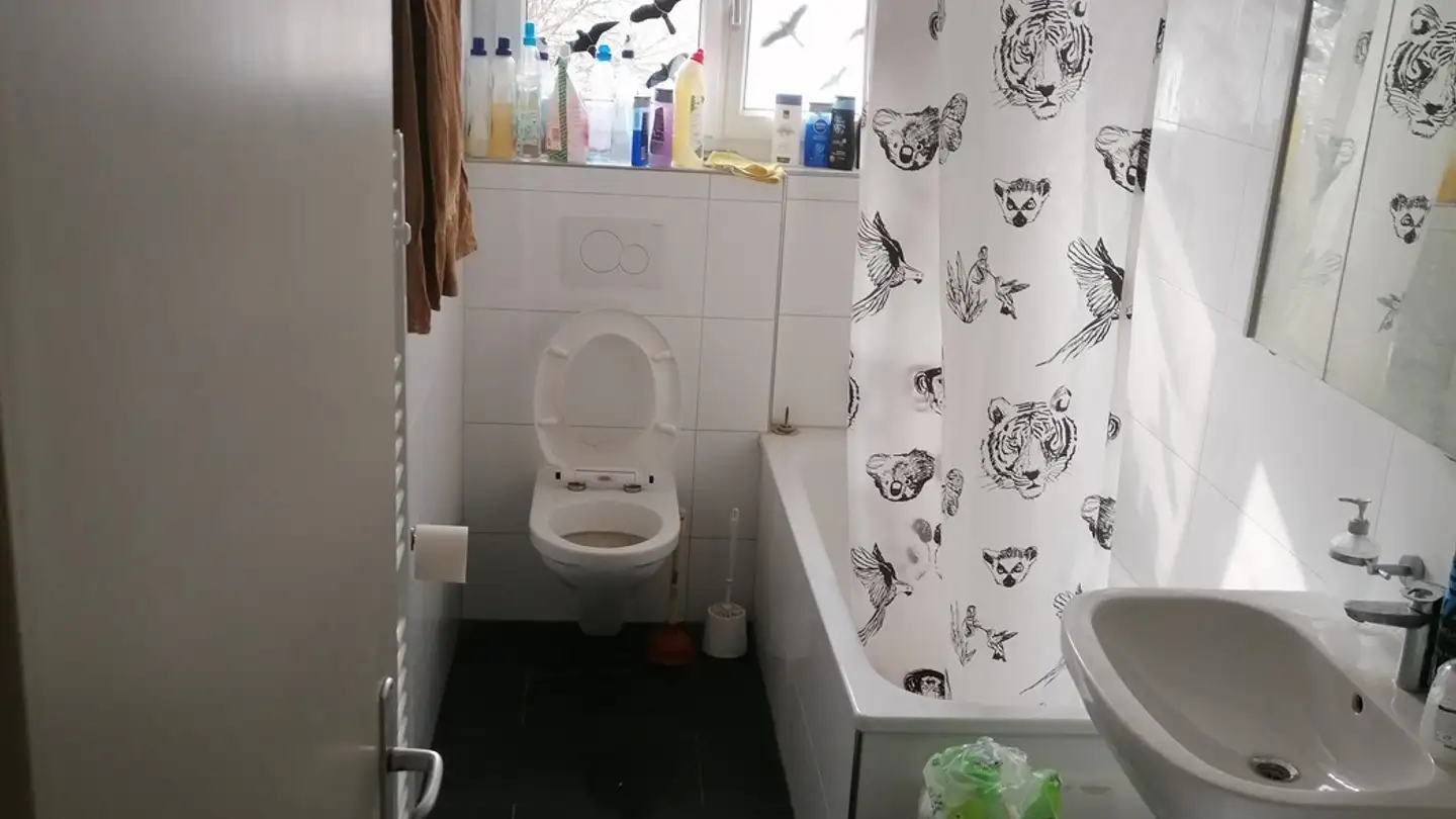 Appartamento in affitto - Anglikerstrasse 11, 5610 Wohlen AG - Photo 3