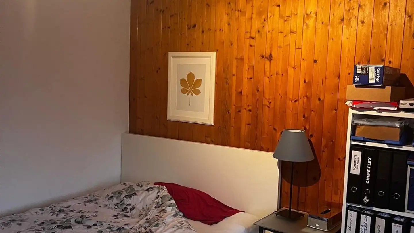 Appartamento in affitto - Vor Dem Berg 3, 3702 Hondrich - Foto 4