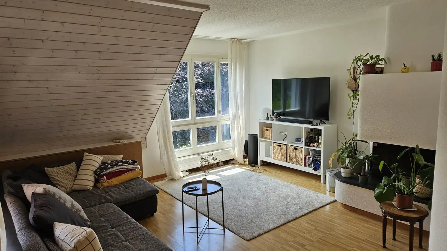 Stanza singola in affitto - 8051 Zürich