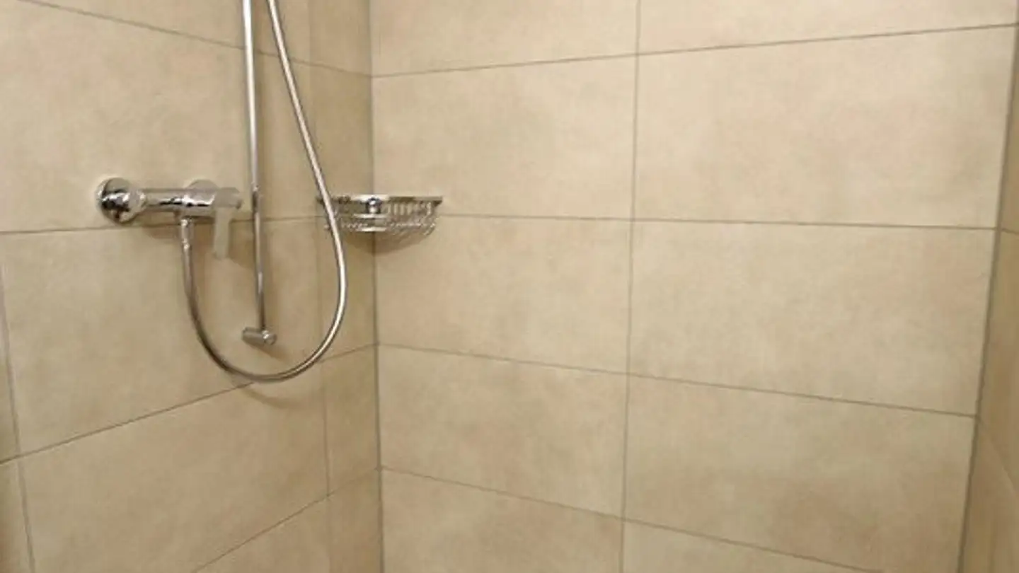 Appartement à louer - Zieglerstrasse 36, 3007 Bern - Photo 4