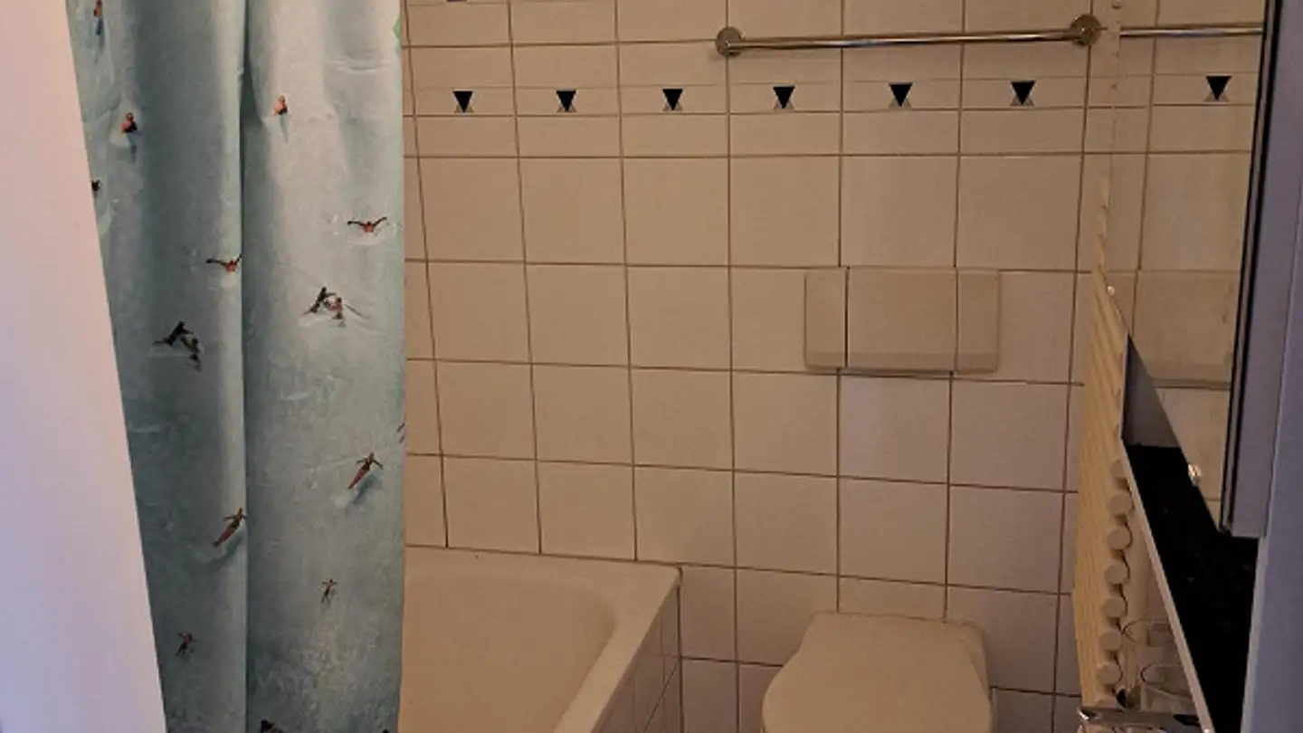 Attico in affitto - Brunnmattstrasse 34, 3007 Bern - Foto 4