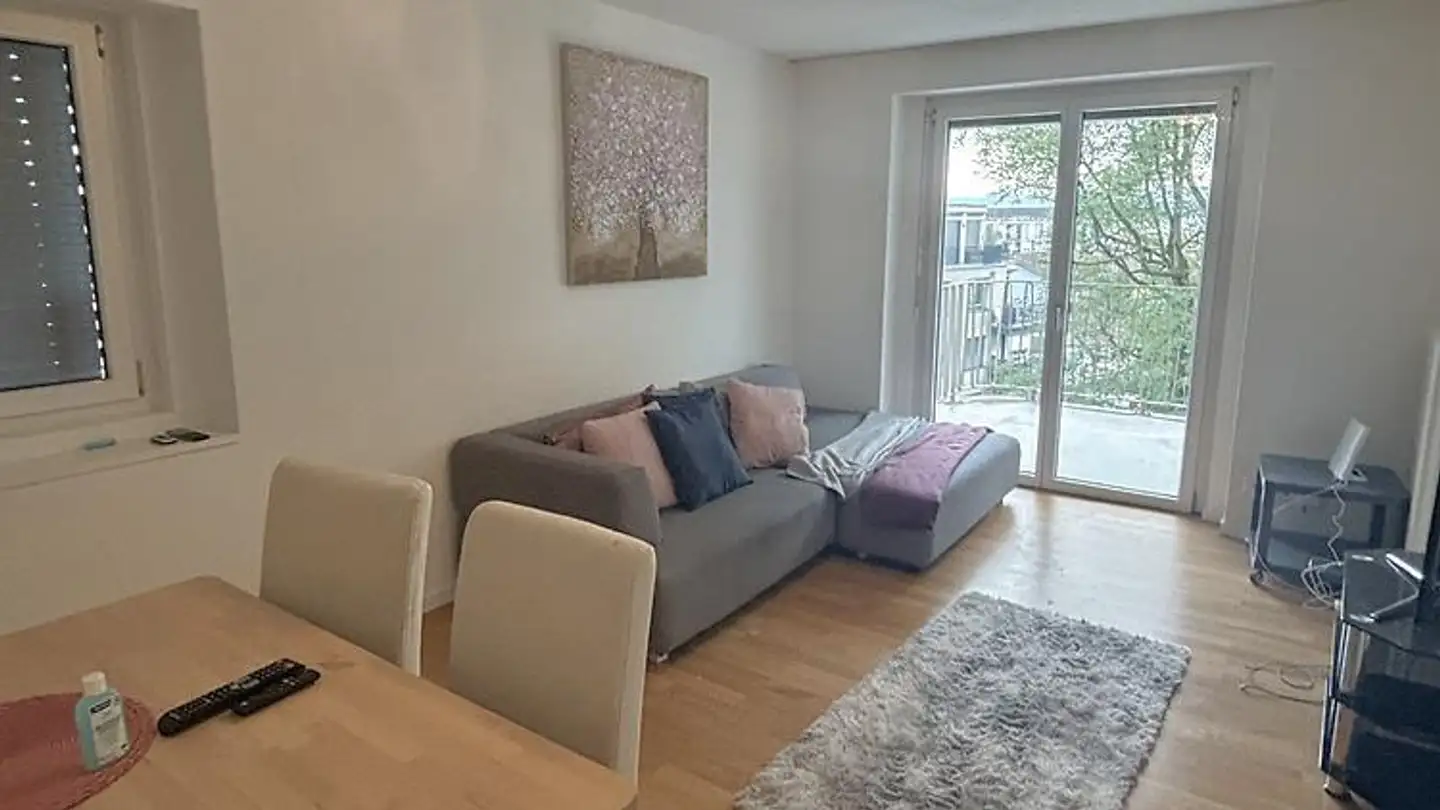 Furnished apartment for rent - 8052 Zürich