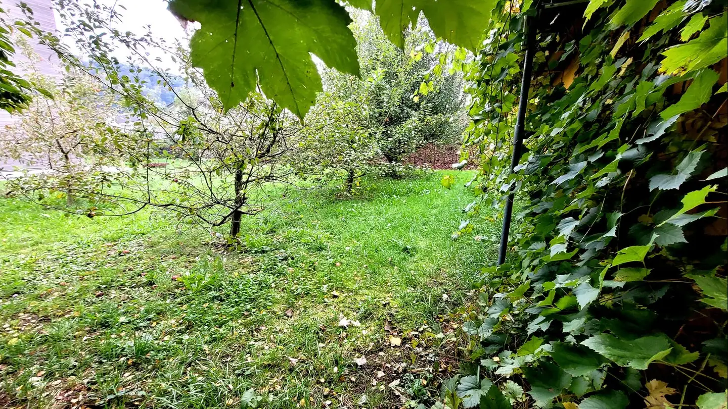 Laboratorio in affitto - Bahnhofstrasse 18, 5506 Mägenwil - Foto 4