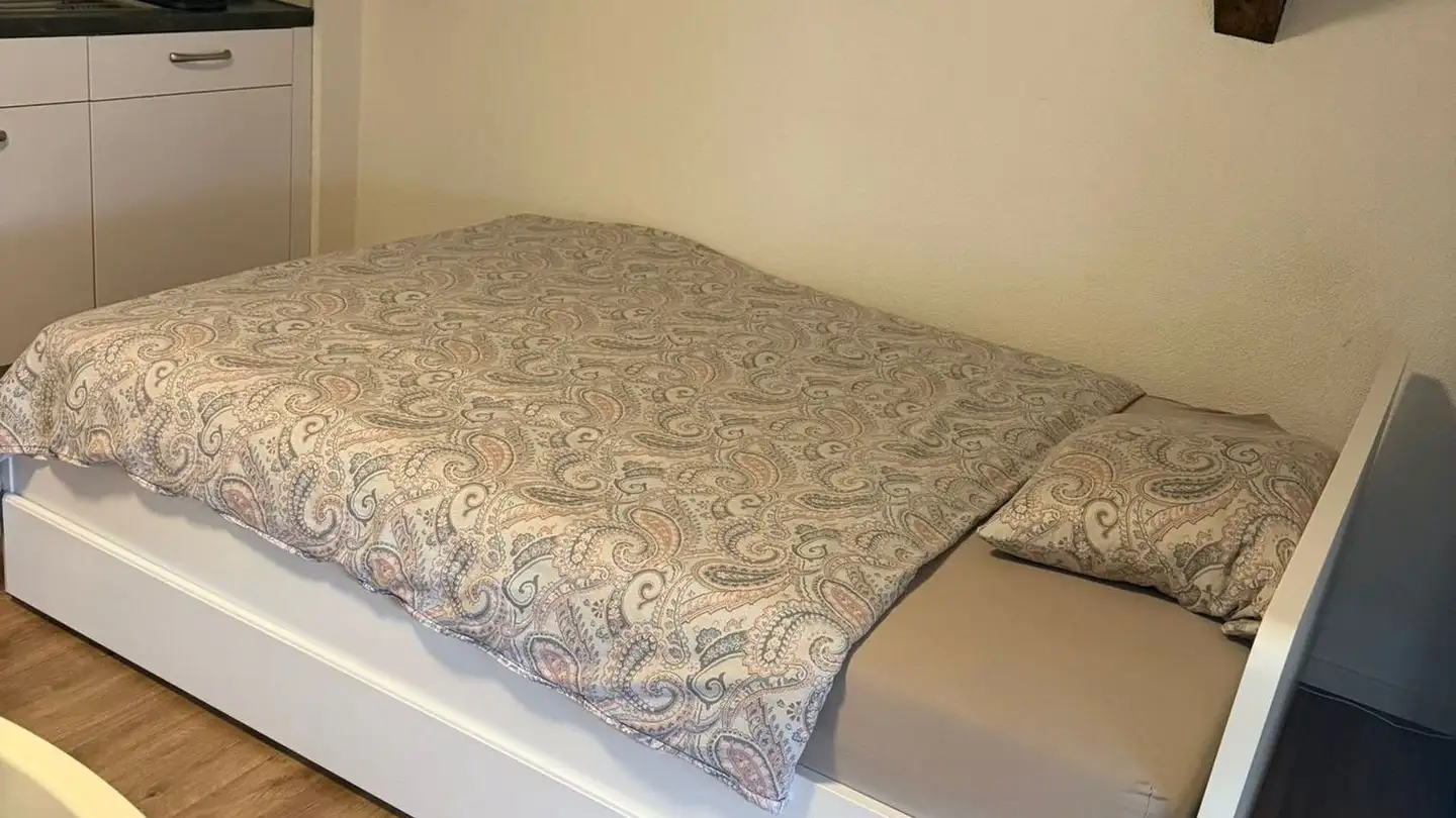 Appartement meublé à louer - Hauptstrasse 30a, 8637 Laupen ZH - Photo 3