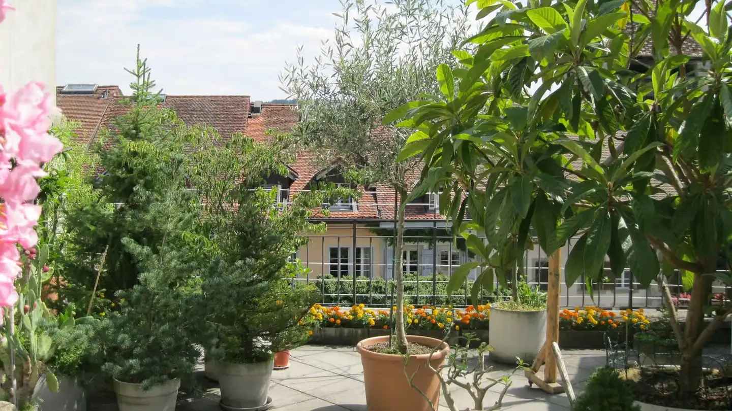 Apartment for rent - Ruelle Des Arvoz 1, 1580 Avenches