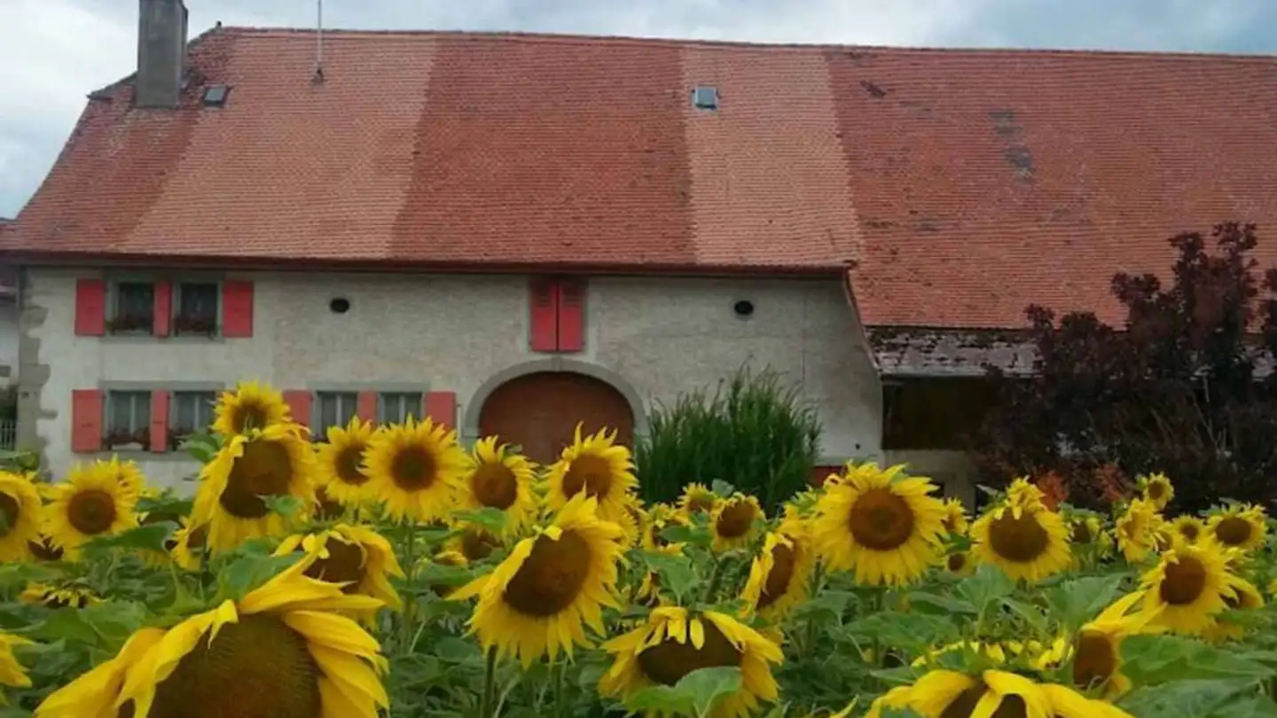 Single house for rent - 1462 Yvonand