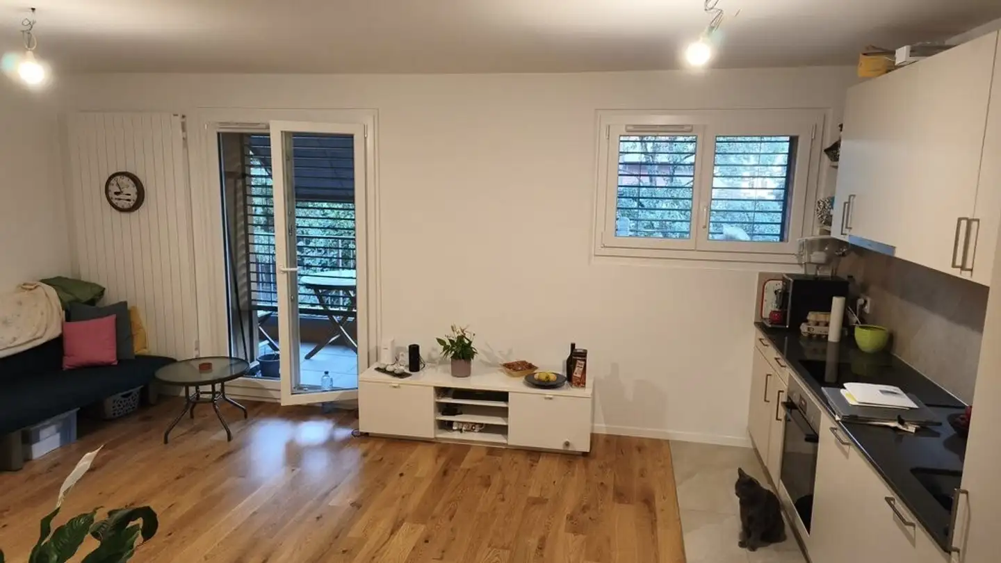 Appartamento in affitto - Chemin Vert 9, 1804 Corsier-sur-Vevey - Foto 3