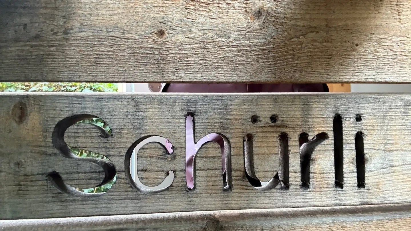 Single house for rent - Bohnerenstrasse 24, 3800 Unterseen - Photo 2