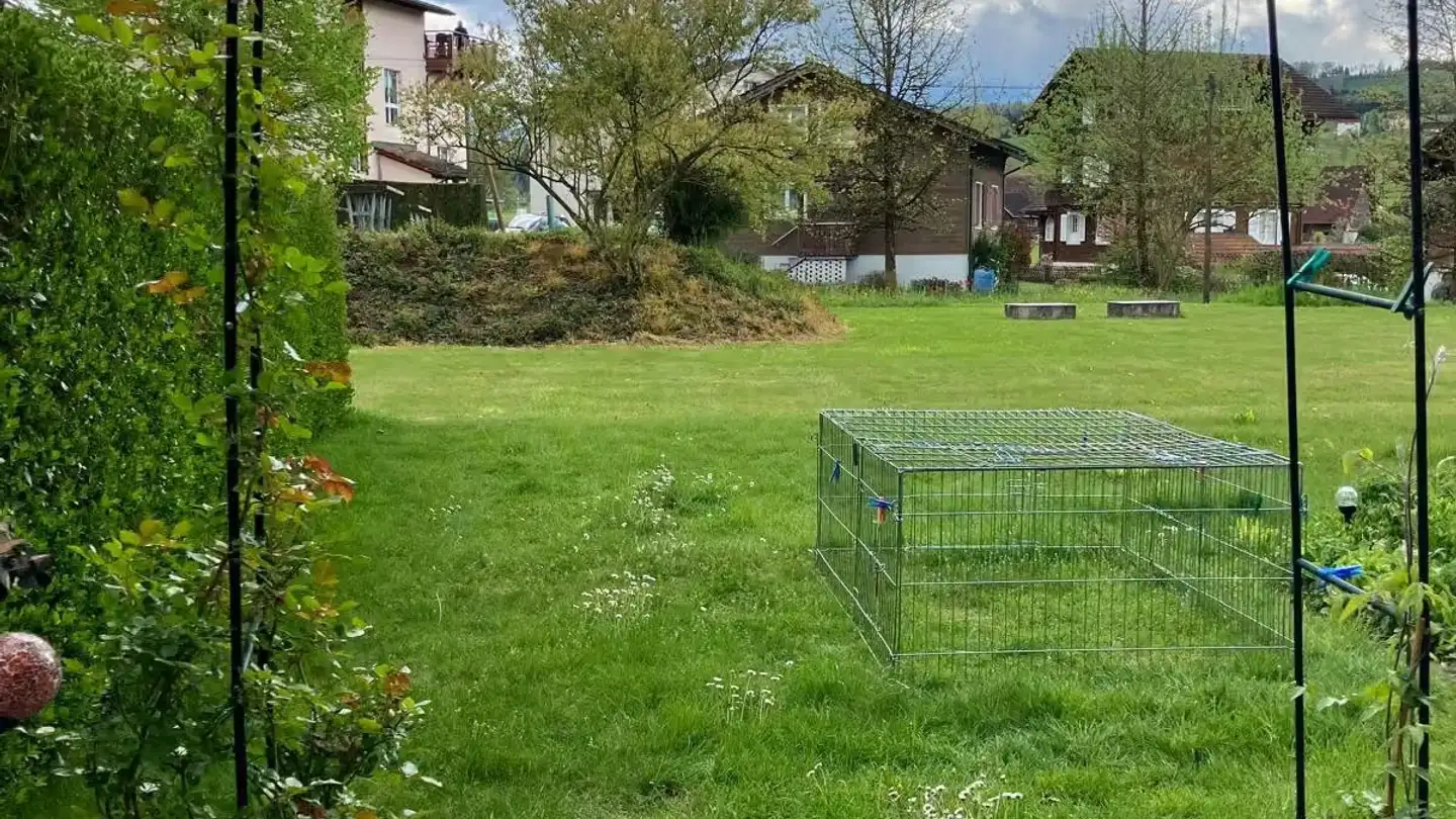 Single room for rent - Eichenstrasse 3, 6203 Sempach Station