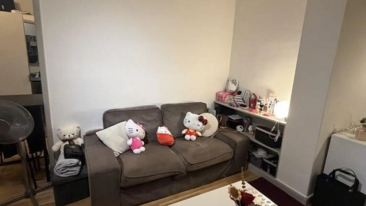 Appartamento ammobiliato in affitto - Avenue Wendt 5, 1203 Genève - Foto 3