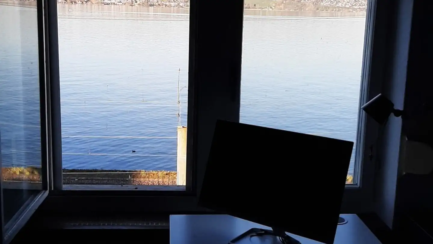 Single room for rent - 8820 Wädenswil - Photo 2