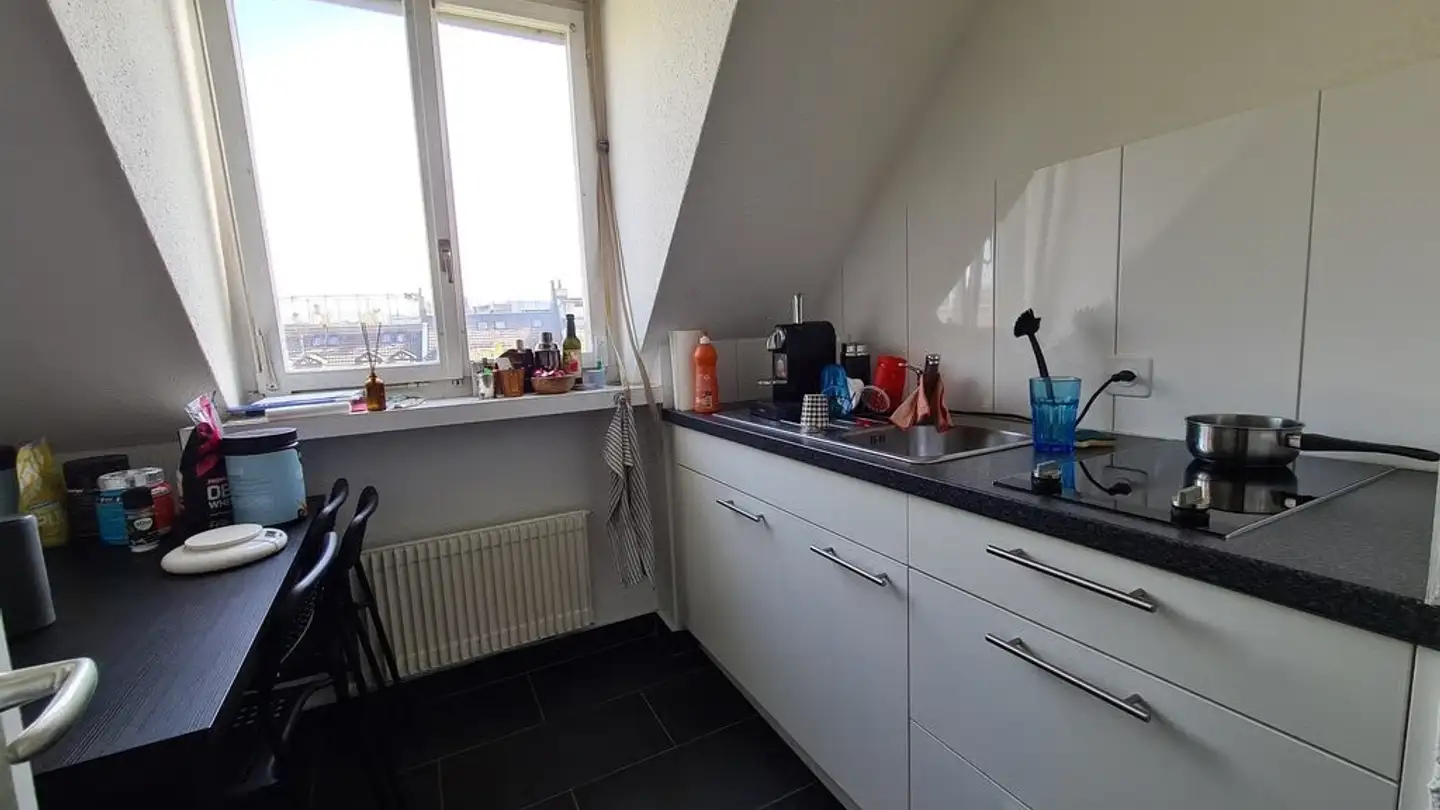 Appartamento in affitto - Haldenstrasse 154, 8055 Zürich - Foto 3
