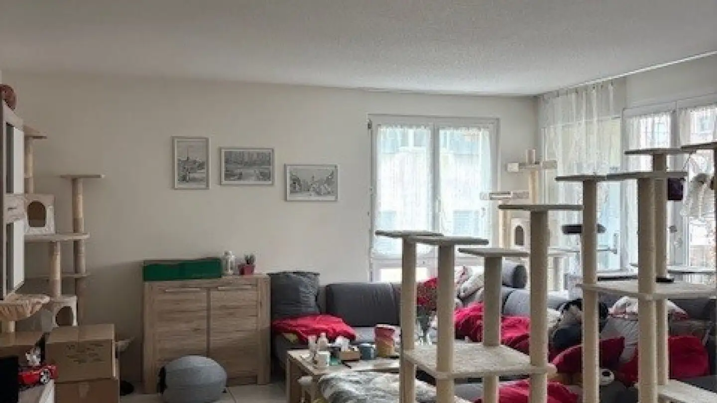 Appartement à louer - Breite 15, 5210 Windisch - Photo 2