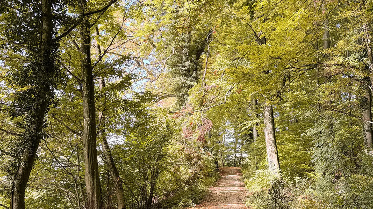 Single house for sale - 1776 Montagny-la-Ville - Photo 3