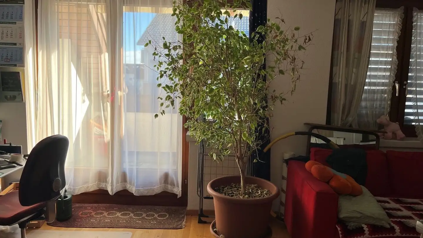 Wohnung mieten - Dorfstrasse 11, 5053 Staffelbach