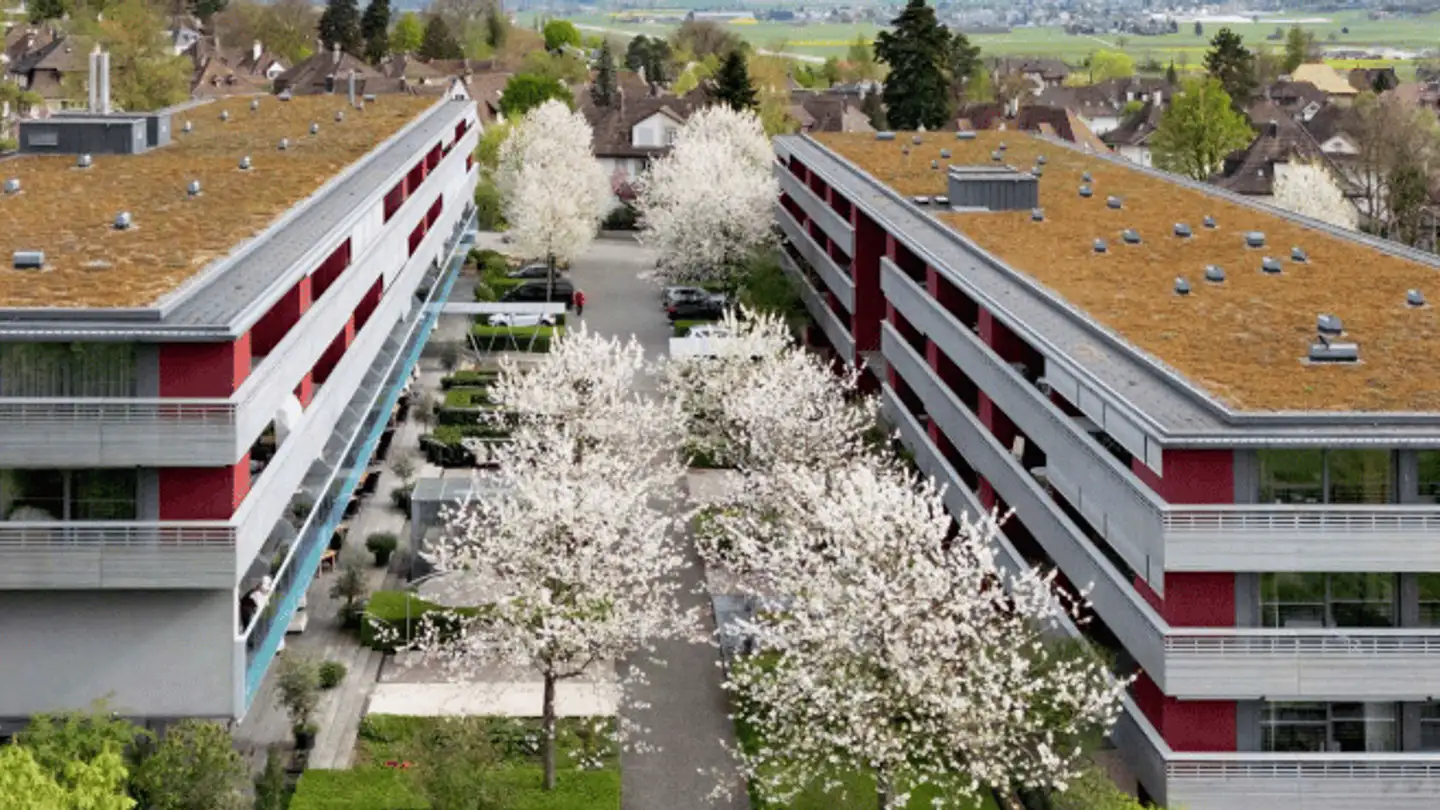 Coiffeur à louer - Mettlengässli 8, 3074 Muri b. Bern