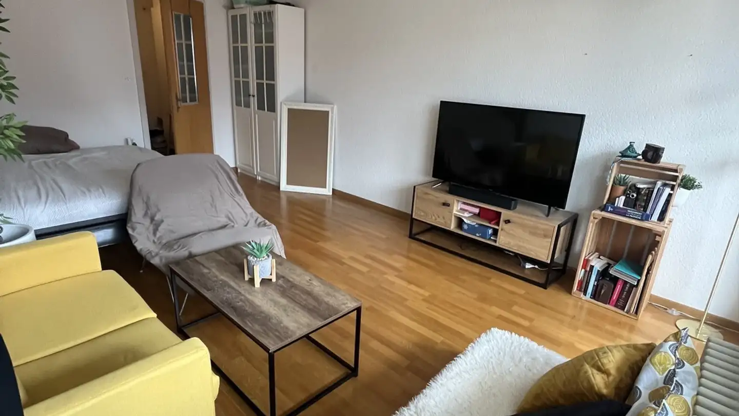 Apartment for rent - Monbijoustrasse 123, 3007 Bern
