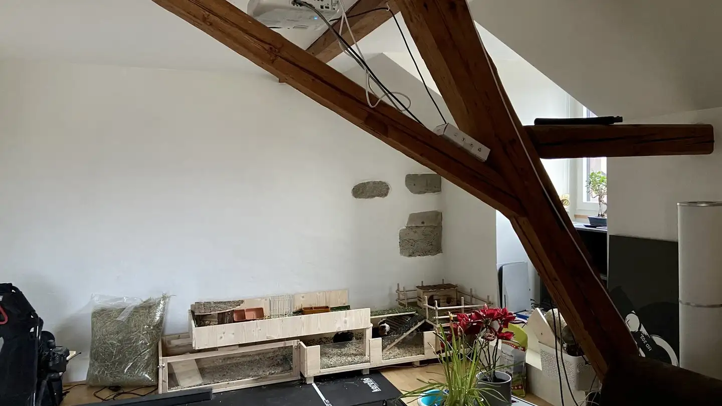 Appartement à louer - Burghaldenstrasse 40, 5600 Lenzburg