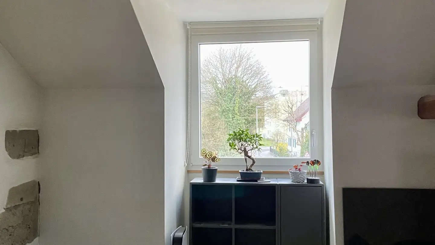 Appartement à louer - Burghaldenstrasse 40, 5600 Lenzburg - Photo 2