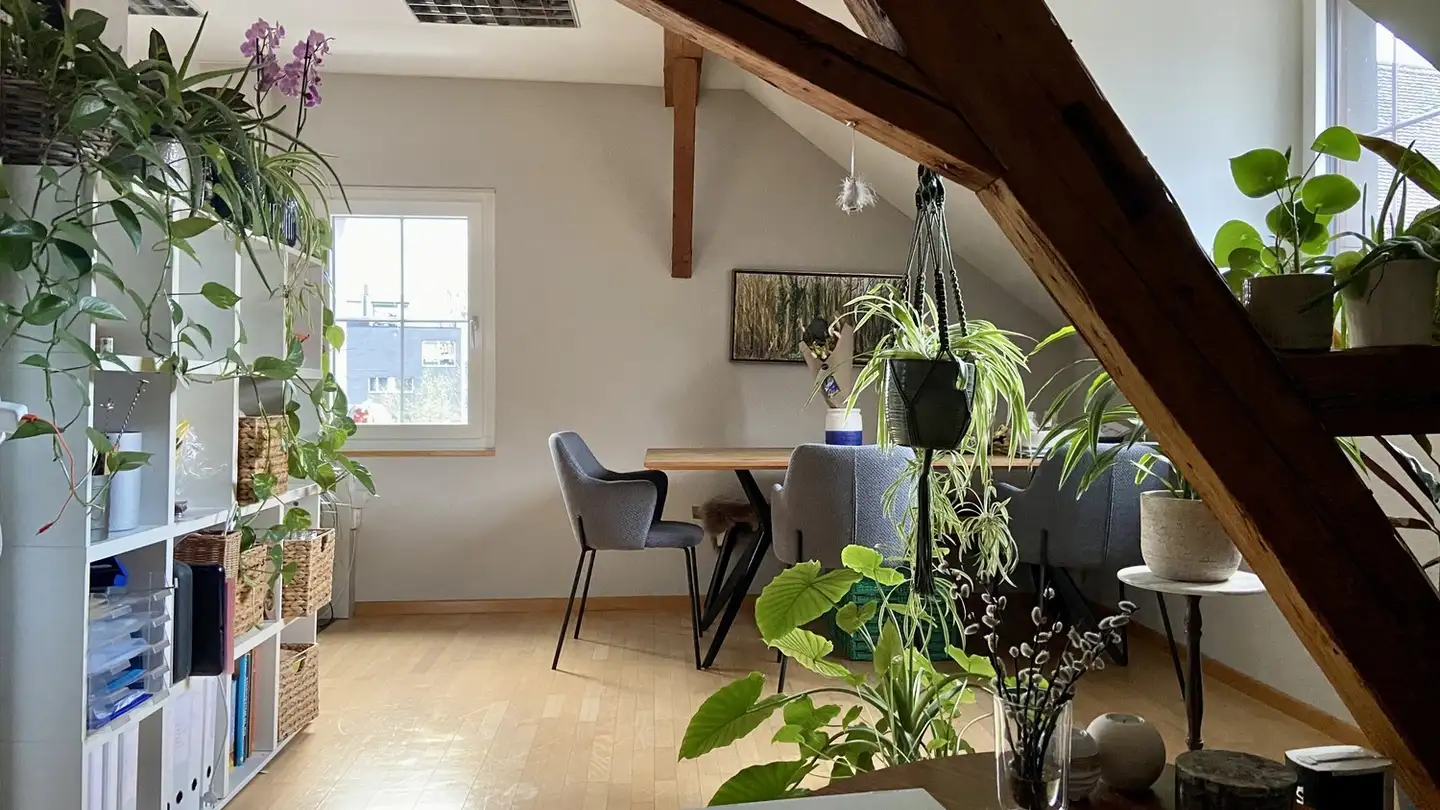 Appartement à louer - Burghaldenstrasse 40, 5600 Lenzburg - Photo 3