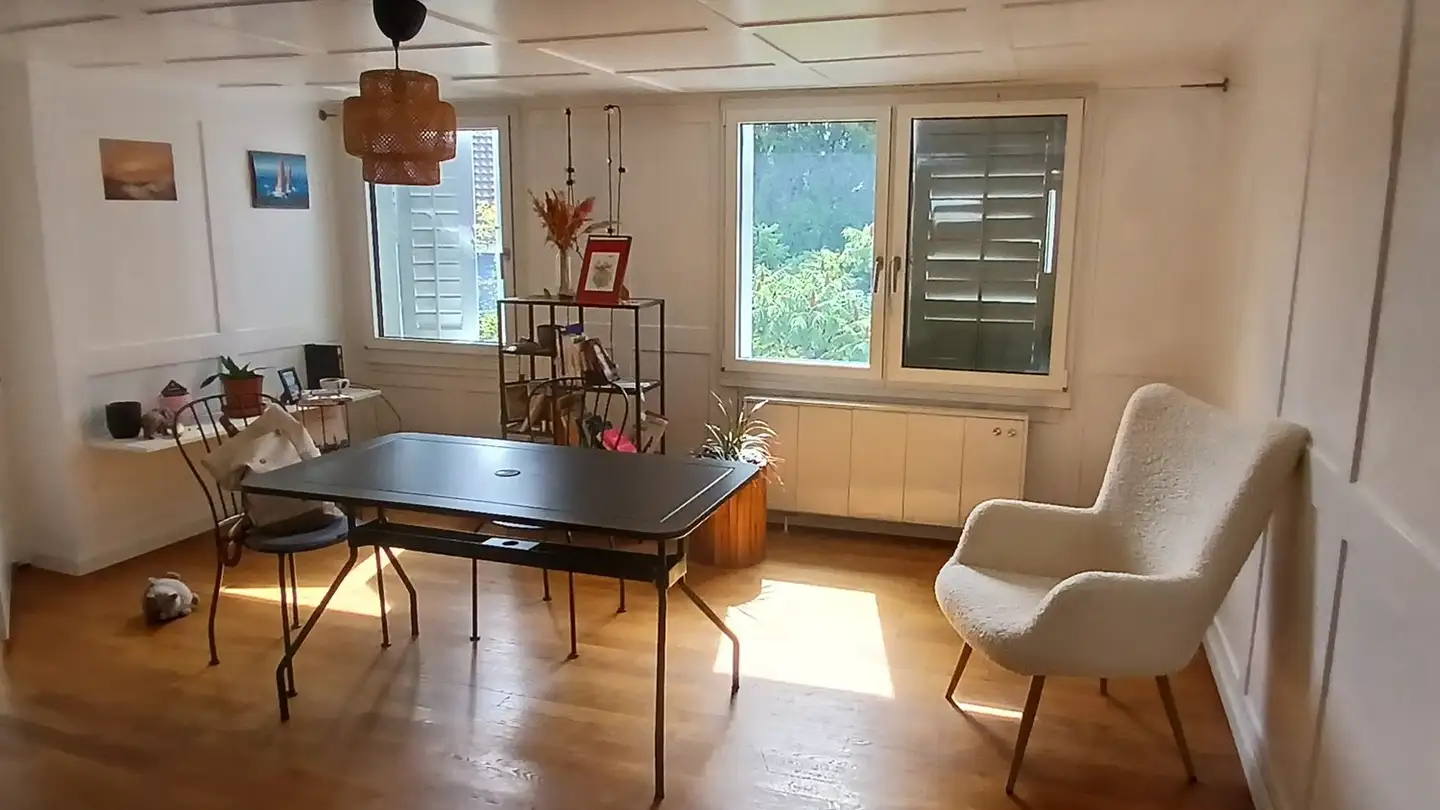 Appartamento in affitto - 8800 Thalwil
