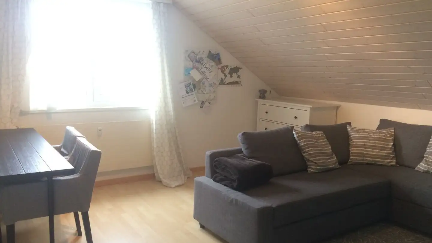 Wohnung mieten - Bellevuestrasse 22, 6280 Hochdorf