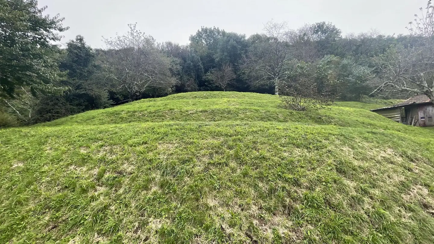 Commercial building plot for sale - 6827 Brusino Arsizio - Photo 3