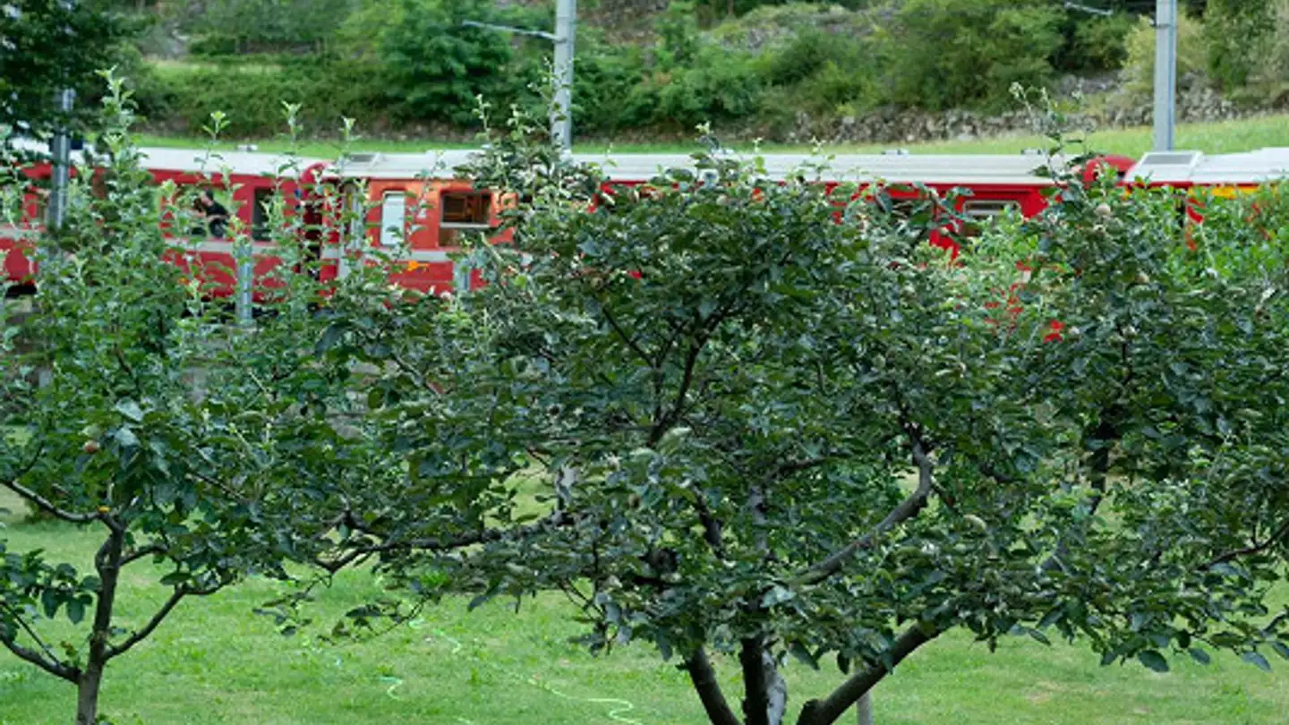 Casa singola in vendita - Borgo 321, 7743 Brusio - Foto 3