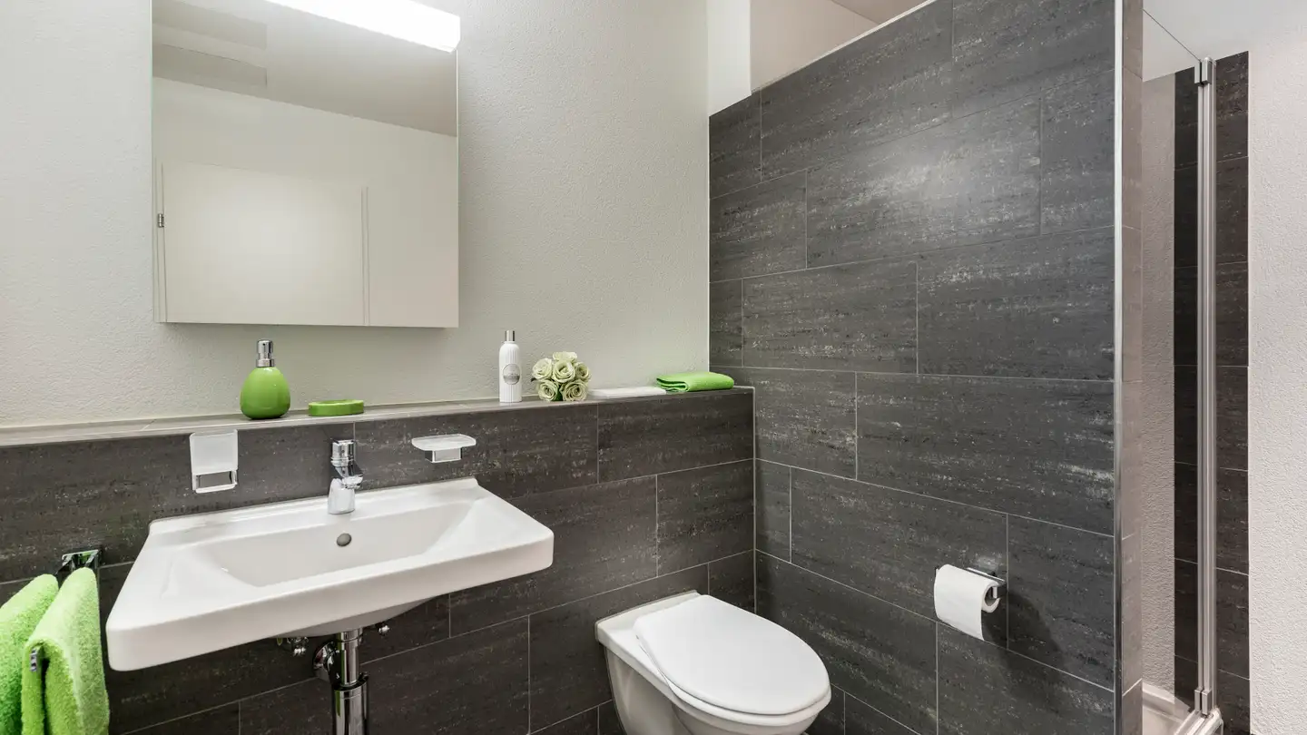 Appartamento in affitto - Schöntalstrasse 21, 9323 Steinach - Foto 3