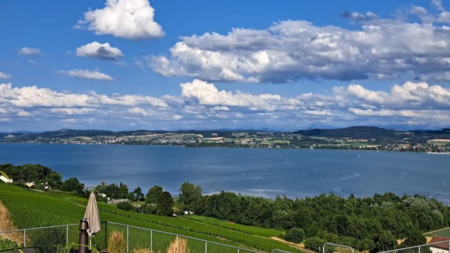 Apartment for rent - Chemin Du Bas De Chaux 1, 1585 Bellerive VD - Photo 4