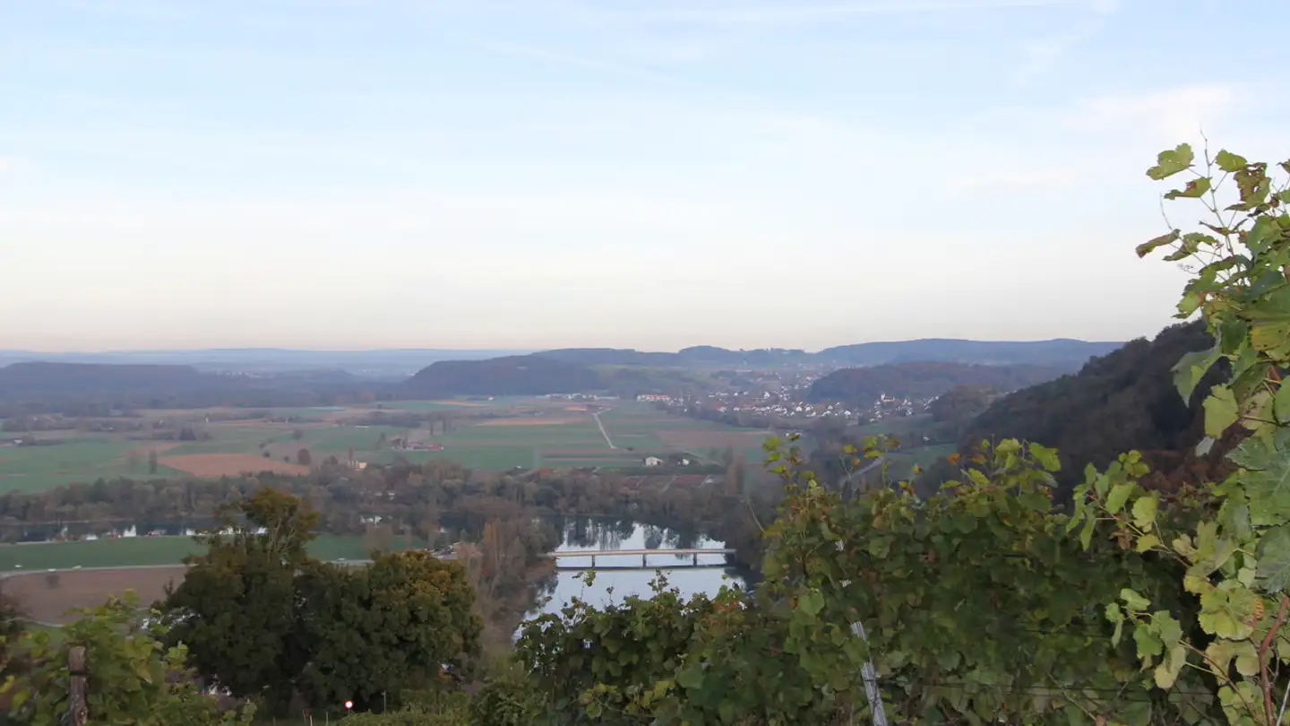 Wohnung mieten - Seglerweg 2, 8454 Buchberg - Foto 4