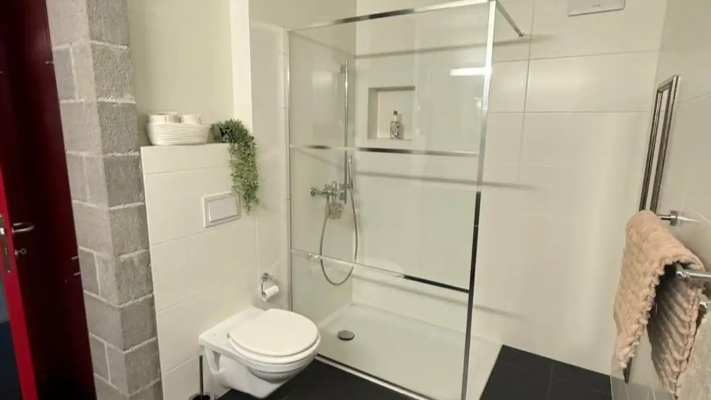 Single house for rent - In Sualbia 7i, 6528 Camorino - Photo 4