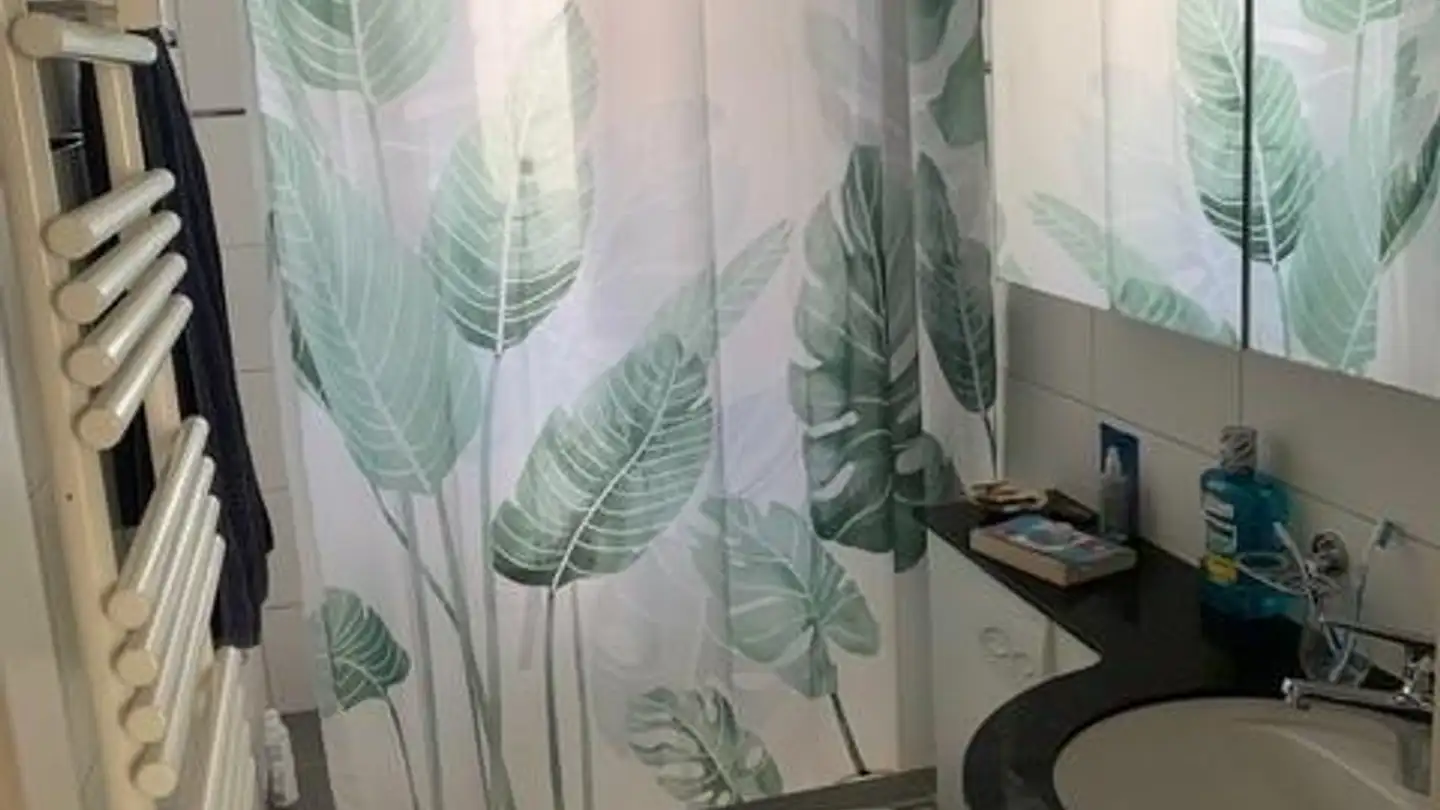 Appartamento in affitto - Lothringerstrasse 116, 4056 Basel - Foto 3